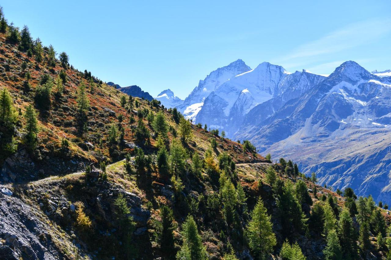 Hotel Le Besso - Swiss Romantic Lodge Циналь Экстерьер фото